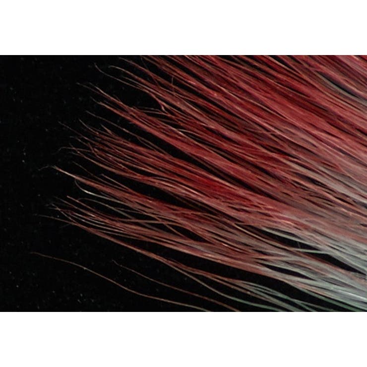 メイクブラシ フェイスブラシ チークブラシ | PlusNao | 詳細画像10 