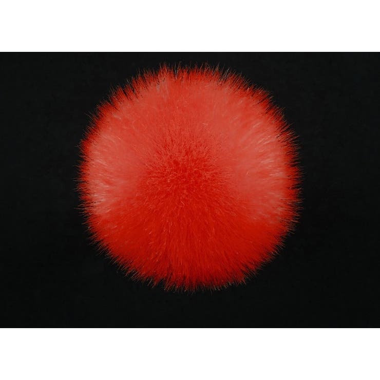 メイクブラシ フェイスブラシ チークブラシ | PlusNao | 詳細画像9 