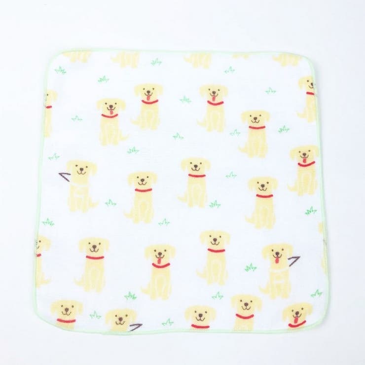 今治タオル ガーゼタオル ハンドタオル | PlusNao | 詳細画像4 