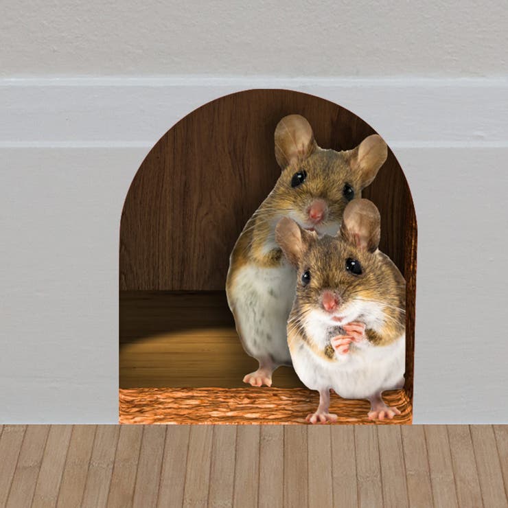 ウォールステッカー 壁装飾 ステッカー | PlusNao | 詳細画像3 