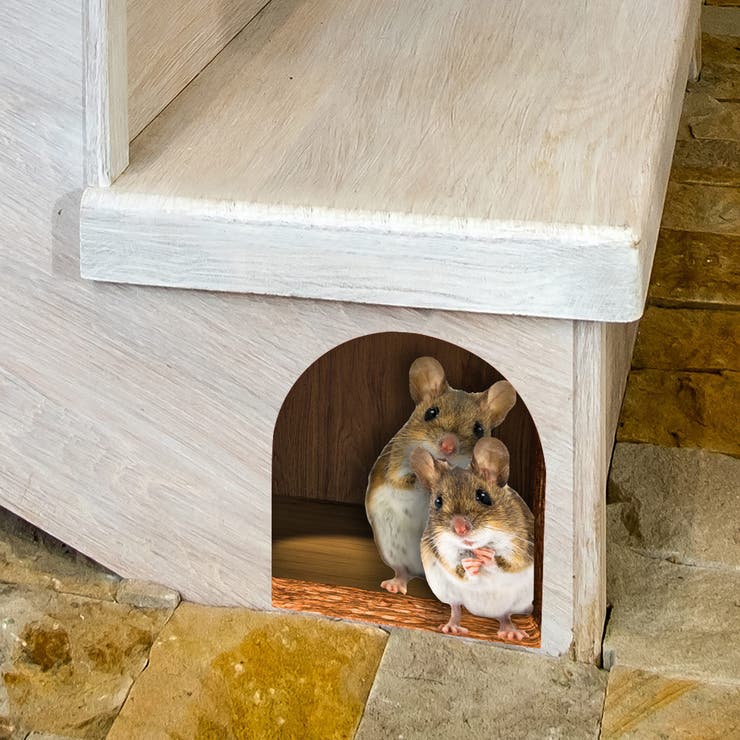 ウォールステッカー 壁装飾 ステッカー | PlusNao | 詳細画像5 