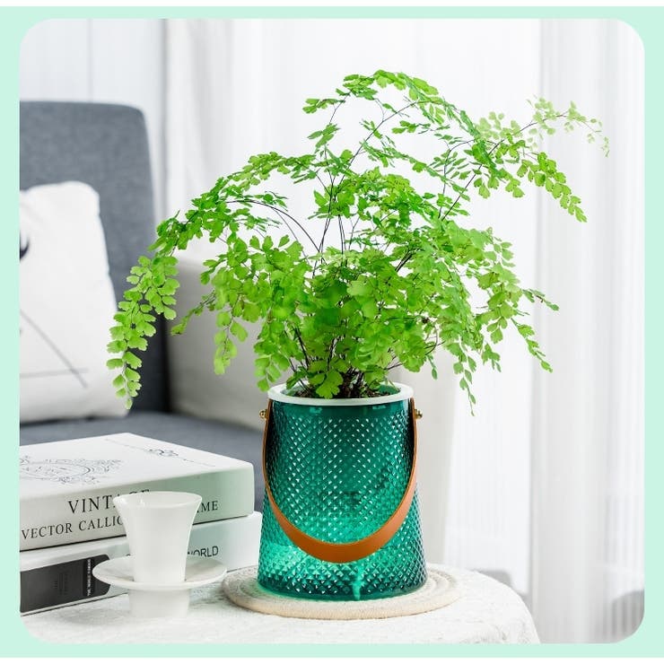 プランターカバー 植木鉢カバー フラワーポット | PlusNao | 詳細画像5 