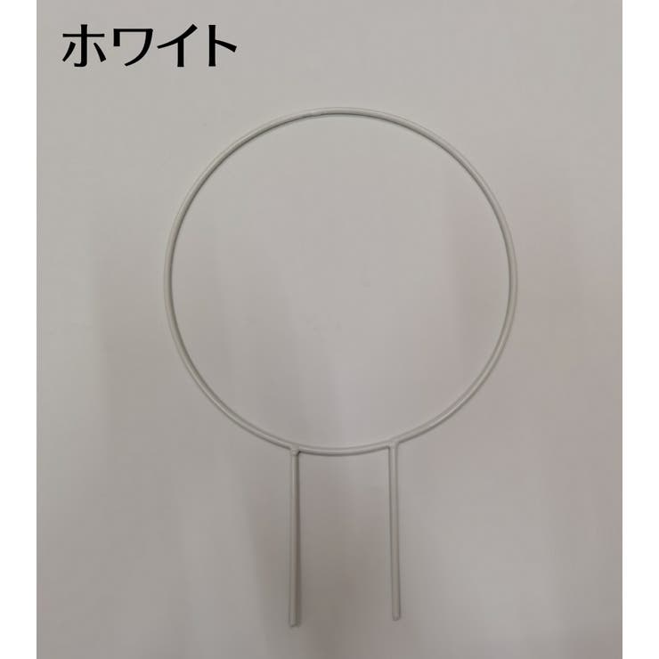 植物支柱 園芸用支柱 ガーデニング用具 | PlusNao | 詳細画像2 