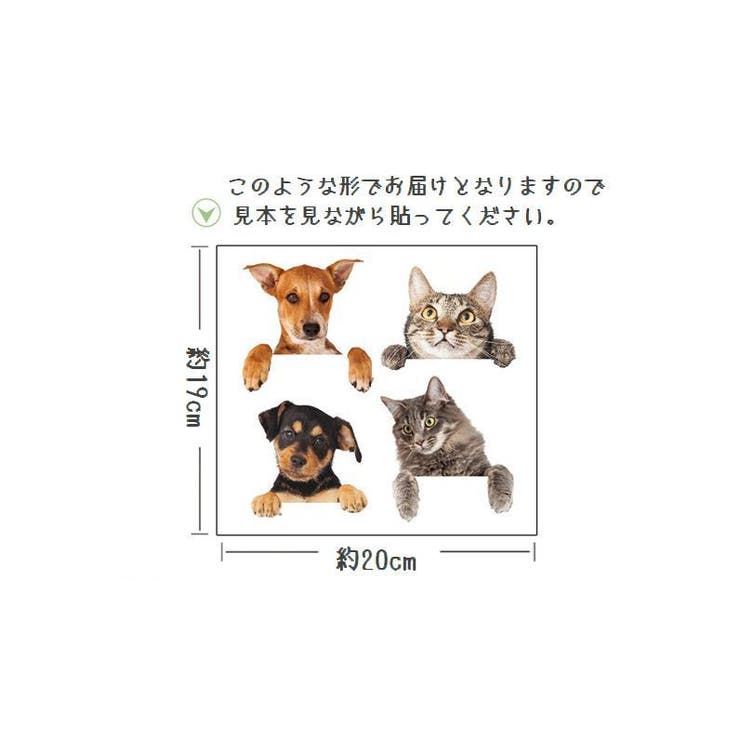 ウォールステッカー 壁紙シール ウォールシール | PlusNao | 詳細画像10 