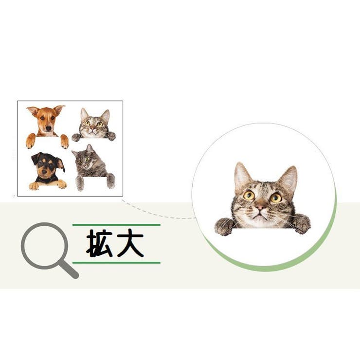 ウォールステッカー 壁紙シール ウォールシール | PlusNao | 詳細画像8 