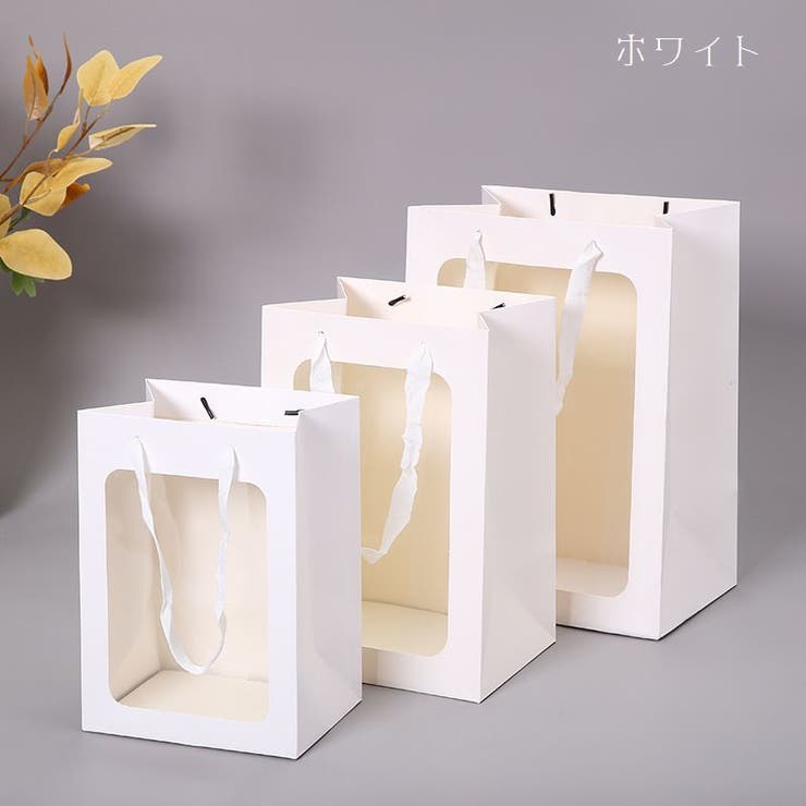 紙袋 3枚セット 20×15×10cm[品番：FQ000161942]｜PlusNao（プラスナオ