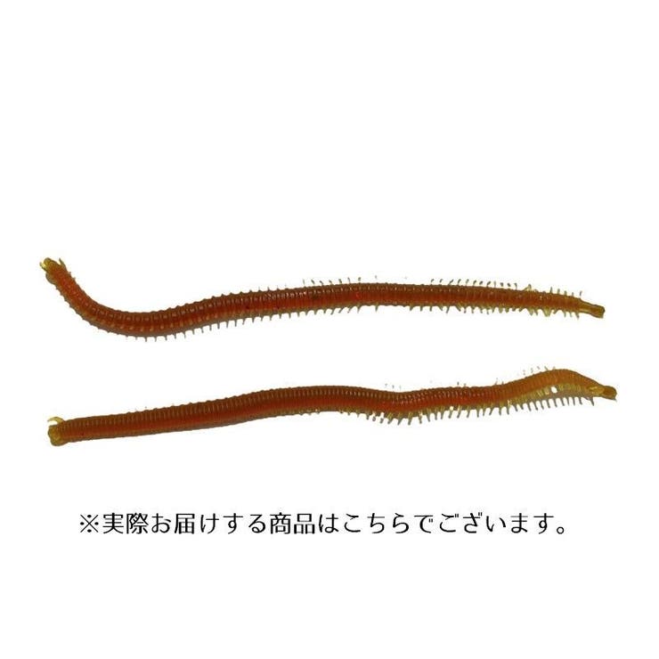 ワーム 赤イソメ 10個セット | PlusNao | 詳細画像8 