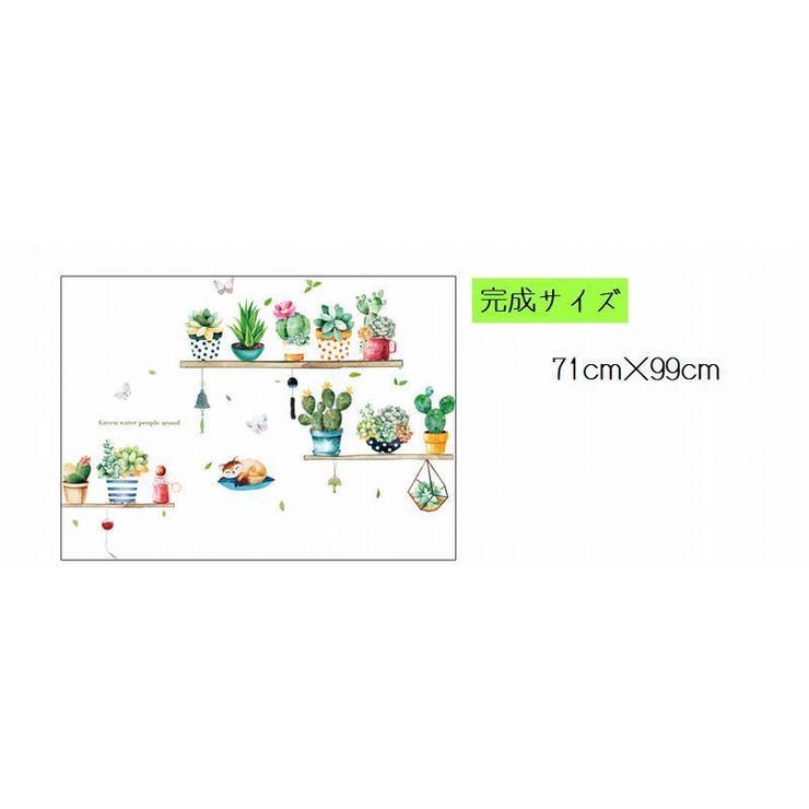 ウォールステッカー 多肉植物モチーフ ウォールシール | PlusNao | 詳細画像10 