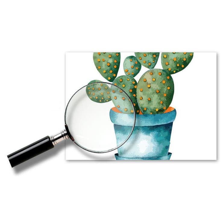 ウォールステッカー 多肉植物モチーフ ウォールシール | PlusNao | 詳細画像8 