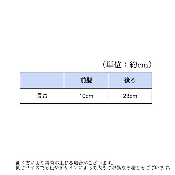 ポイントウィッグ 部分ウィッグ レディース | PlusNao | 詳細画像16 