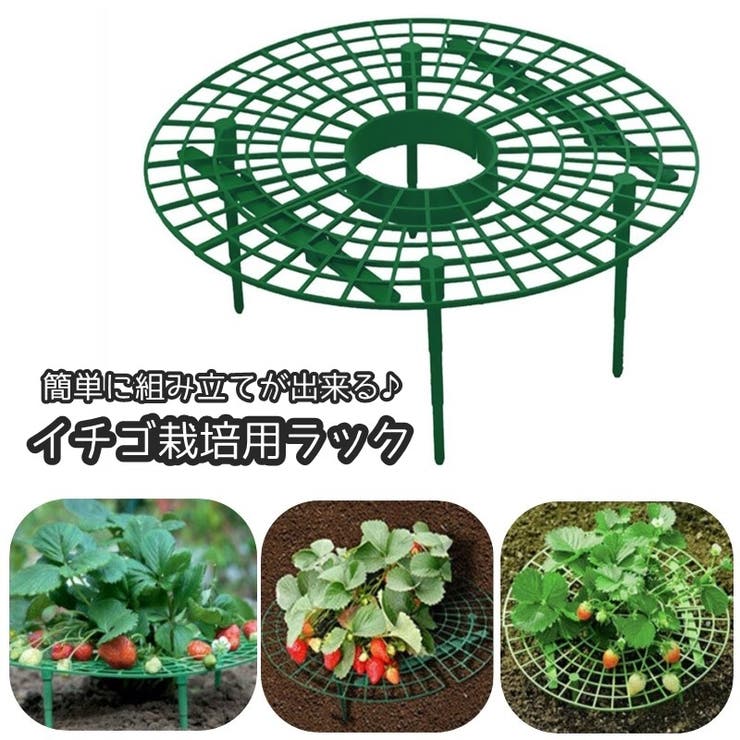イチゴ栽培用ラック いちごスタンド イチゴ支え棚 | PlusNao | 詳細画像1 