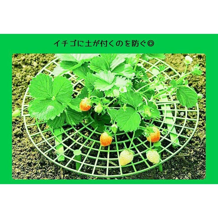 イチゴ栽培用ラック いちごスタンド イチゴ支え棚 | PlusNao | 詳細画像2 