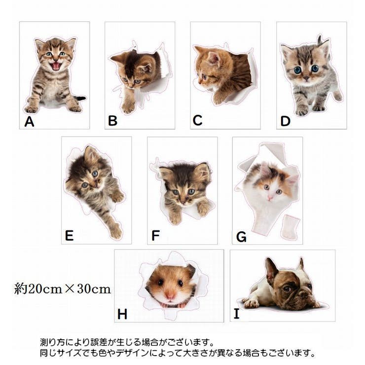 ウォールステッカー 壁紙シール 壁装飾 | PlusNao | 詳細画像9 