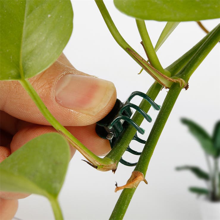 園芸用クリップ 植物クリップ 100個入り | PlusNao | 詳細画像2 