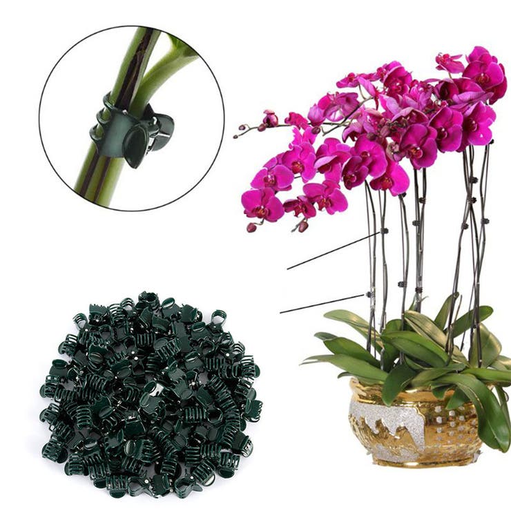園芸用クリップ 植物クリップ 100個入り | PlusNao | 詳細画像4 
