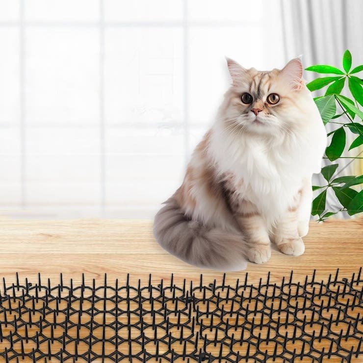 侵入防止ボード 12枚入り 猫 | PlusNao | 詳細画像3 