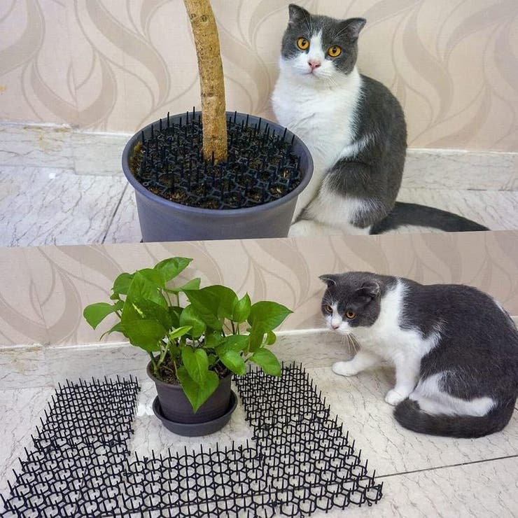 侵入防止ボード 12枚入り 猫 | PlusNao | 詳細画像5 