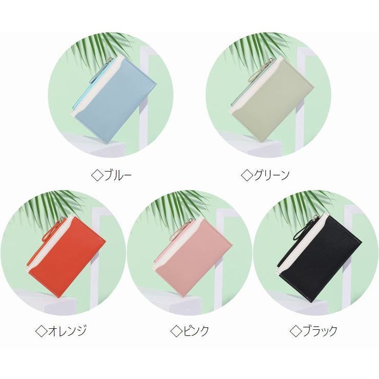 パスケース 定期入れ カードケース | PlusNao | 詳細画像10 