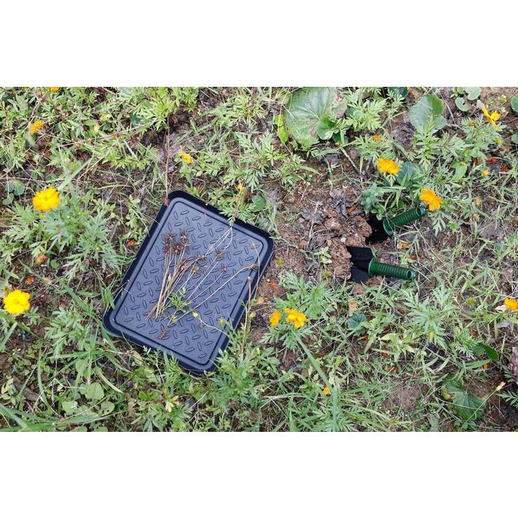 シューズトレイ シューズボックス 3枚セット | PlusNao | 詳細画像8 