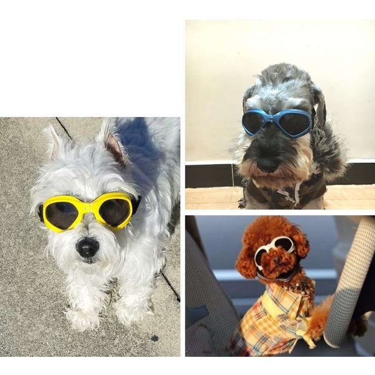 犬用ゴーグル ドッグゴーグル 犬用サングラス 品番 Fq Plusnao プラスナオ のファッション通販 毎日送料無料 Shoplist ショップリスト