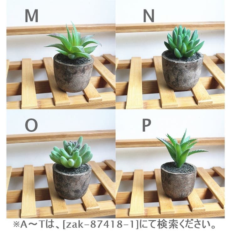 フェイクグリーン 多肉植物 ミニサボテン[品番：FQ000112394]｜PlusNao