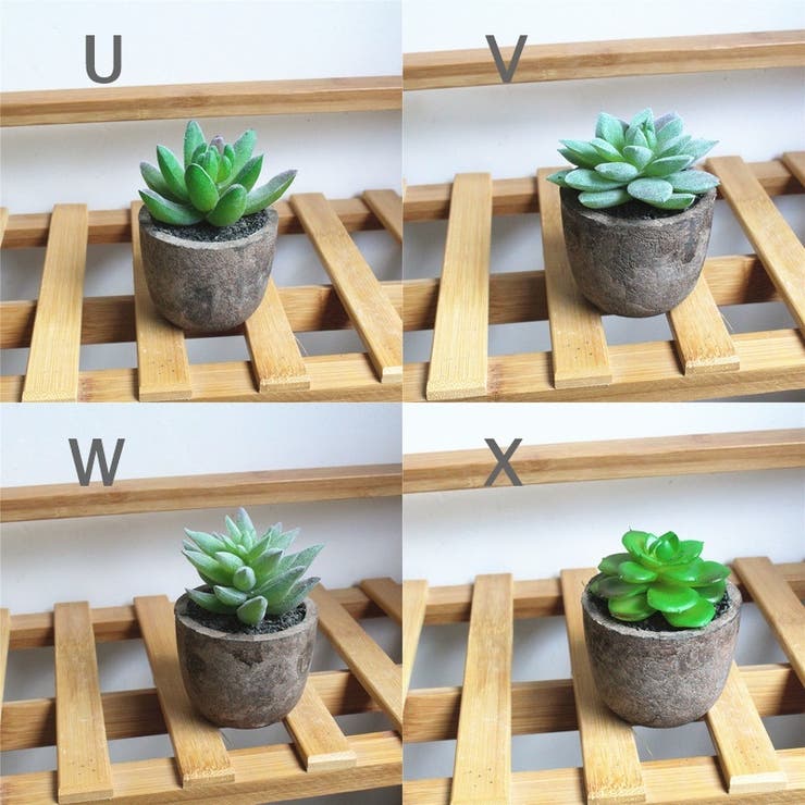 フェイクグリーン 多肉植物 ミニサボテン[品番：FQ000112394]｜PlusNao