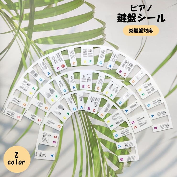 ピアノ 鍵盤シール 88鍵盤対応 | PlusNao | 詳細画像1 