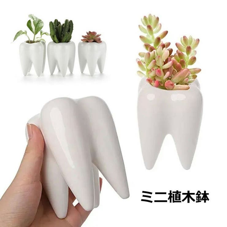 ミニ植木鉢 フラワーポット ペン立て | PlusNao | 詳細画像1 