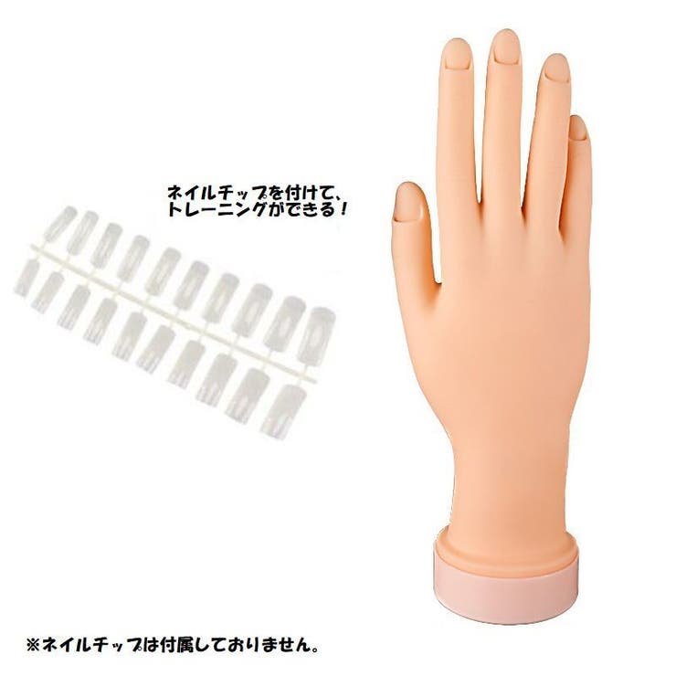 ハンドマネキン ネイル練習用 右手 | PlusNao | 詳細画像3 