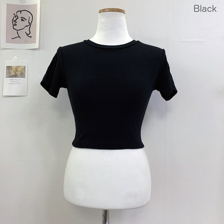 ルセラフィム クロップド Tシャツ LESSERAFIM ルセラフィム ツアー クロップドTシャツ Lサイズ