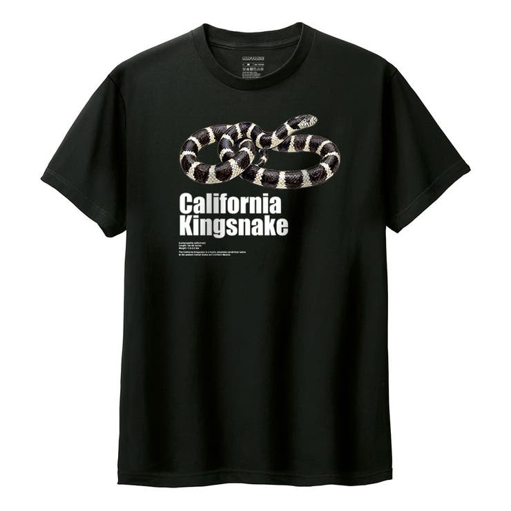 ブラック | Moftique（モフティック） 半袖Tシャツ カリフォルニアキングスネーク | printrium