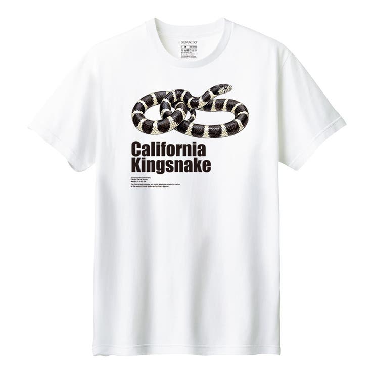 ホワイト | Moftique（モフティック） 半袖Tシャツ カリフォルニアキングスネーク | printrium