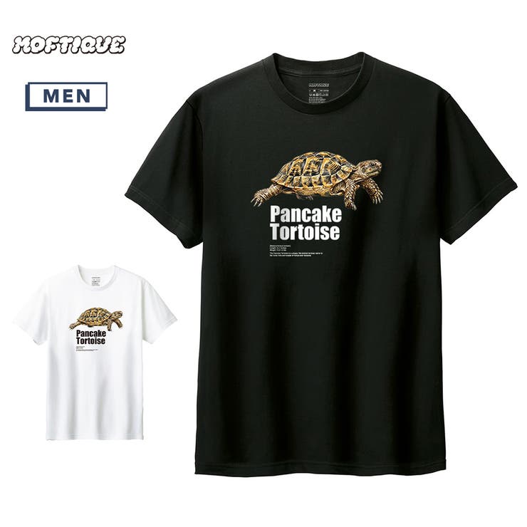 Moftique（モフティック） 半袖Tシャツ パンケーキリクガメ | printrium | 詳細画像1 