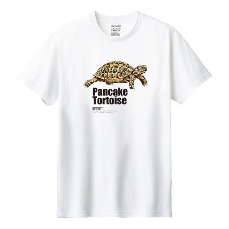 ホワイト | Moftique（モフティック） 半袖Tシャツ パンケーキリクガメ | printrium