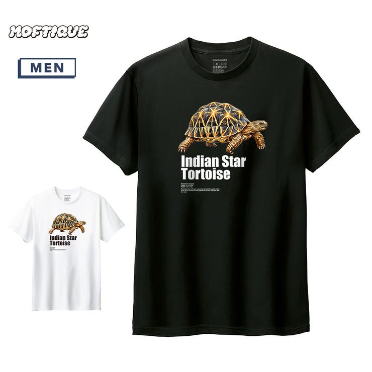 Moftique（モフティック） 半袖Tシャツ インドホシガメ | printrium | 詳細画像1 