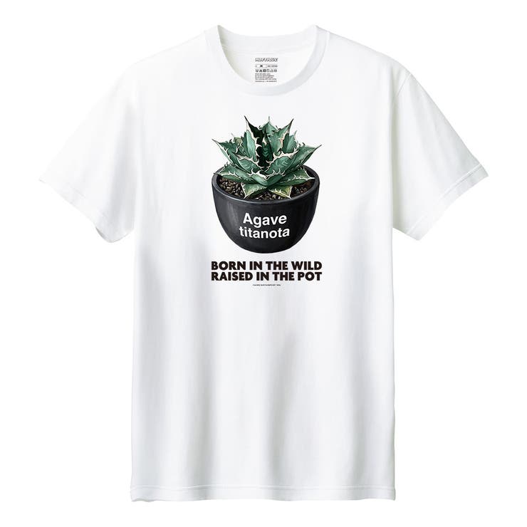 ホワイト | Moftique（モフティック） 半袖Tシャツ アガベ | printrium