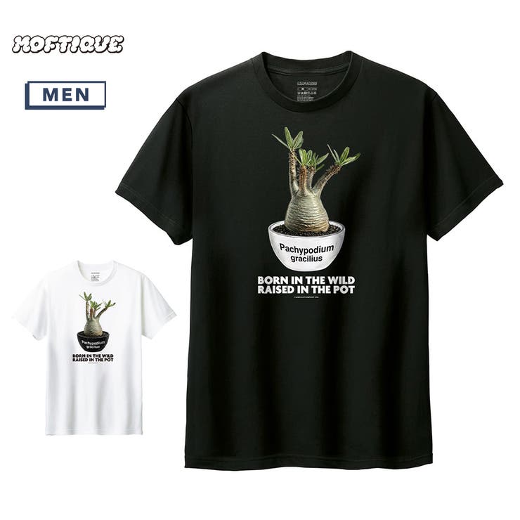Moftique（モフティック） 半袖Tシャツ パキポディウム | printrium | 詳細画像1 