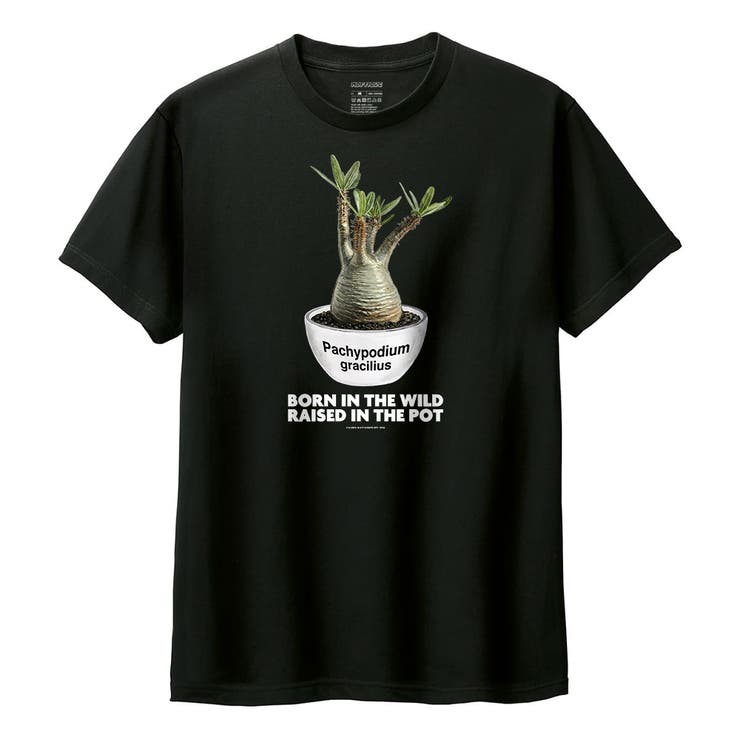 ブラック | Moftique（モフティック） 半袖Tシャツ パキポディウム | printrium