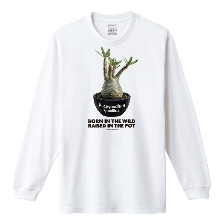 ホワイト | Moftique（モフティック） 長袖Tシャツ パキポディウム | printrium