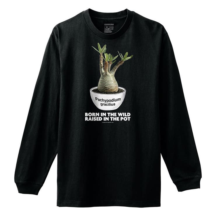 ブラック | Moftique（モフティック） 長袖Tシャツ パキポディウム | printrium