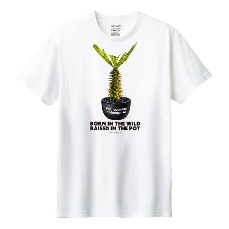 ホワイト | Moftique（モフティック） 半袖Tシャツ パキポディウム | printrium