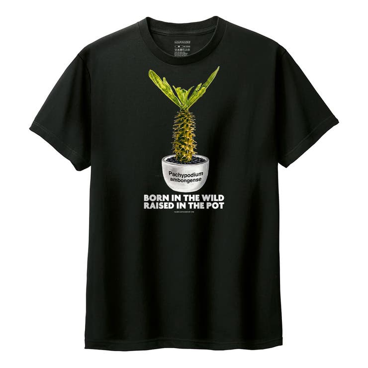 ブラック | Moftique（モフティック） 半袖Tシャツ パキポディウム | printrium