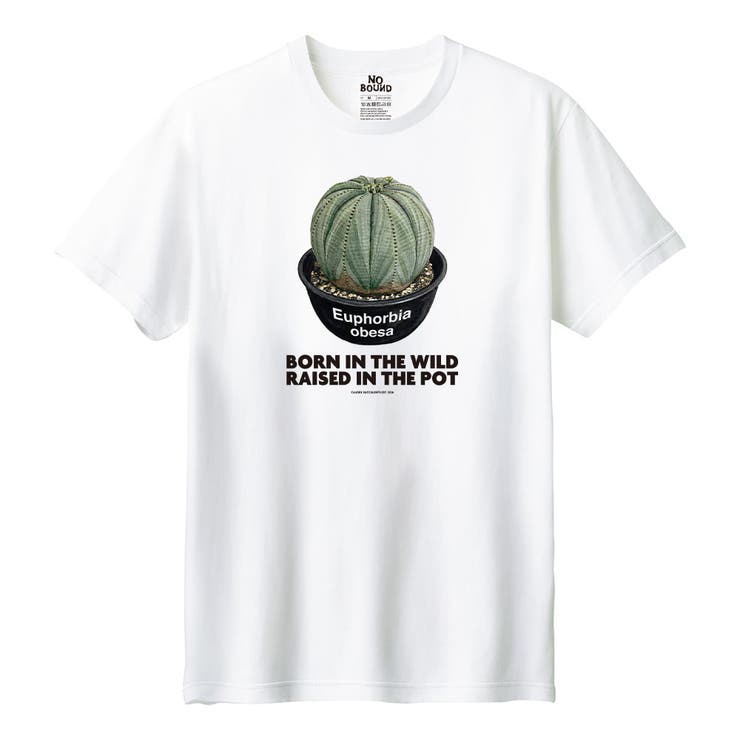 ホワイト | Moftique（モフティック） 半袖Tシャツ ユーフォルビア | printrium