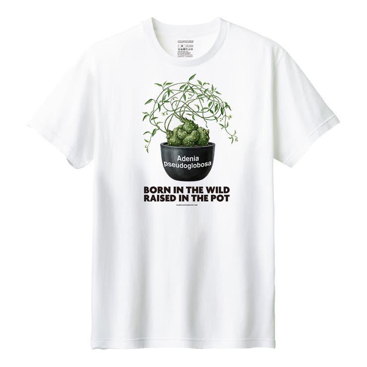 ホワイト | Moftique（モフティック） 半袖Tシャツ アデニア | printrium