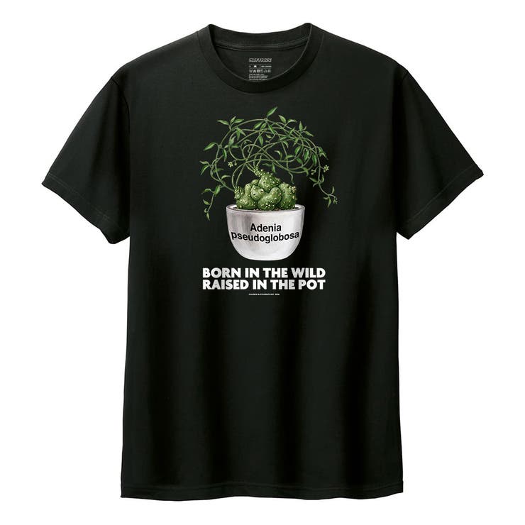 ブラック | Moftique（モフティック） 半袖Tシャツ アデニア | printrium