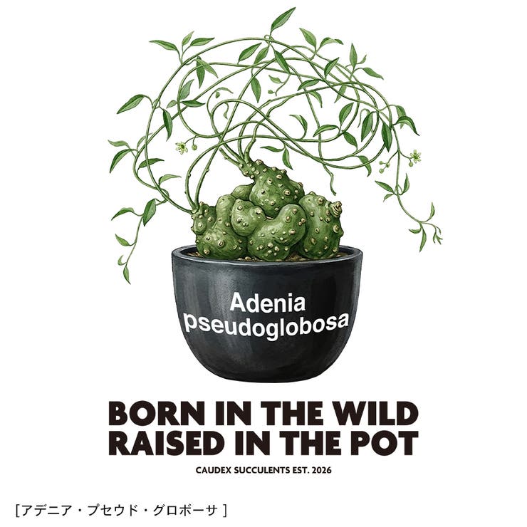 Moftique（モフティック） 半袖Tシャツ アデニア | printrium | 詳細画像2 