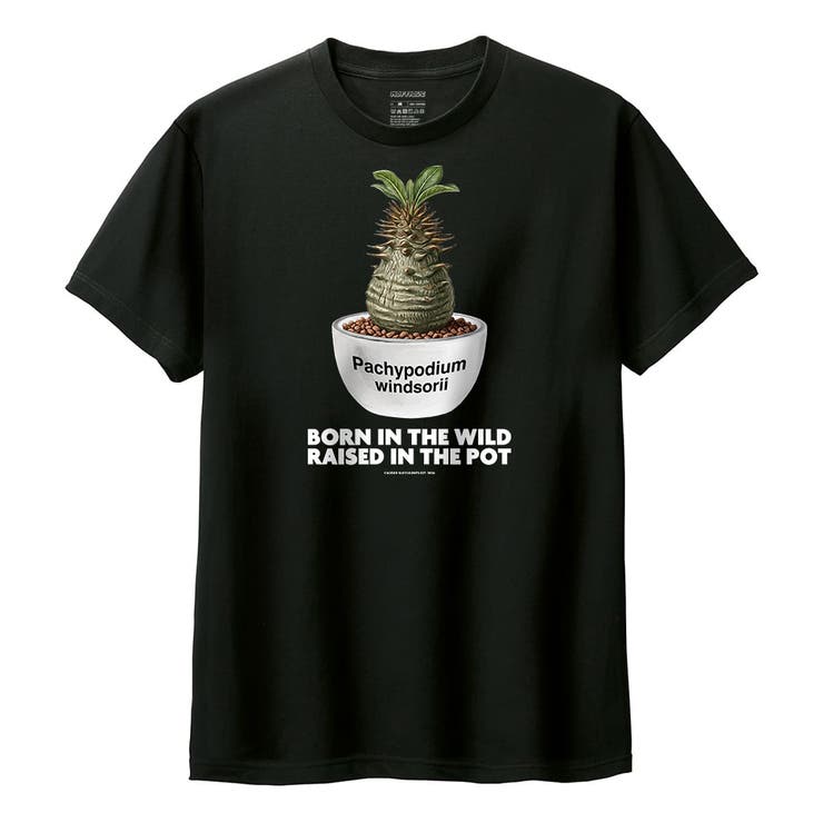 ブラック | Moftique（モフティック） 半袖Tシャツ パキポディウム | printrium
