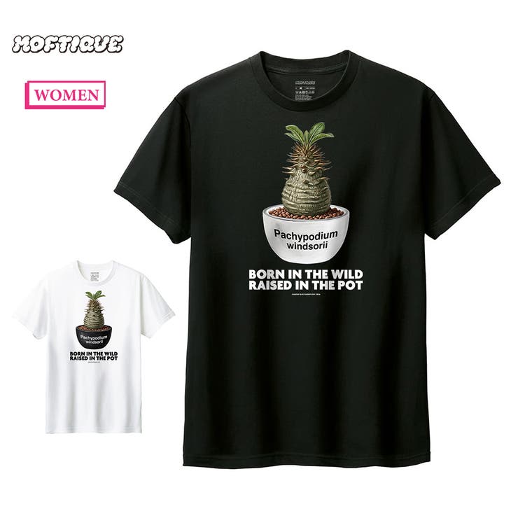 Moftique（モフティック） 半袖Tシャツ パキポディウム | printrium | 詳細画像1 