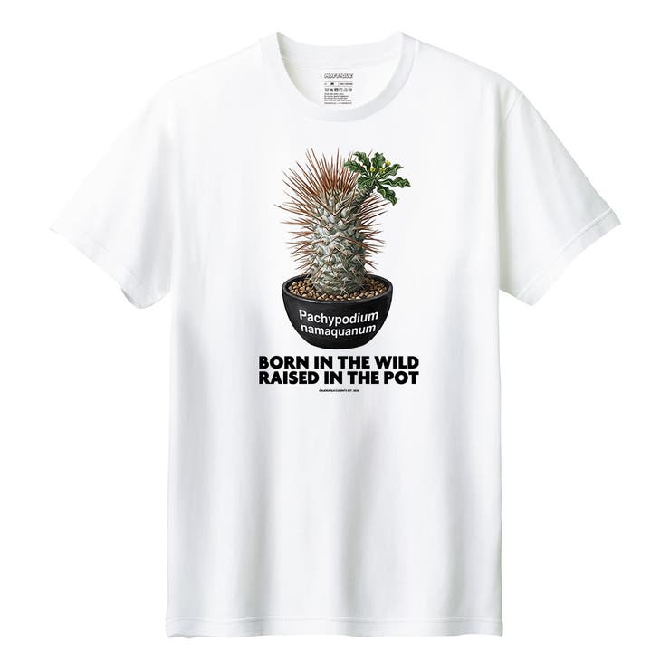 ホワイト | Moftique（モフティック） 半袖Tシャツ パキポディウム | printrium