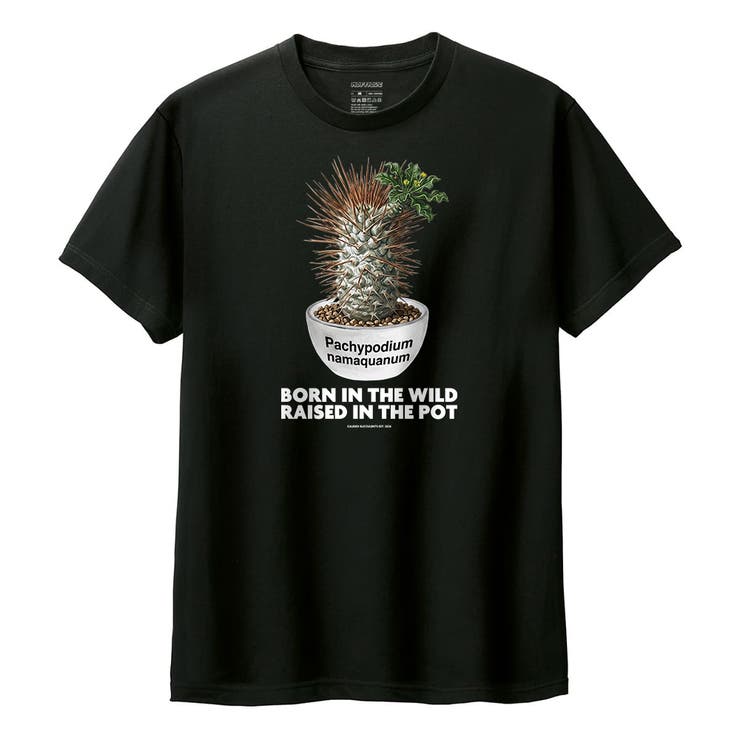 ブラック | Moftique（モフティック） 半袖Tシャツ パキポディウム | printrium